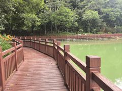 -广州白江湖森林公园