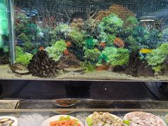 -泰谷酒店·太古码头闽菜自助餐厅