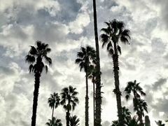 -马洛雷勒花园
