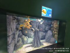-常州海昌海洋探索馆