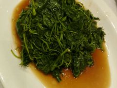 -嘉逸传菜(洛川东路店)