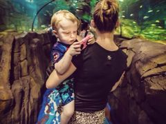 -悉尼海洋生物水族馆