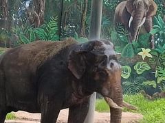 -西安秦岭野生动物园