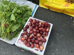 -三门江国家森林公园