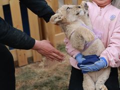 -鄂尔多斯野生动物园