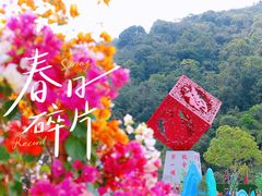 -东莞观音山旅游风景区