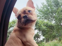 -东戴河风景区-止锚湾