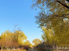 -永定河休闲森林公园