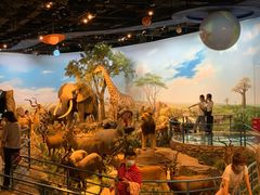 -陕西自然博物馆