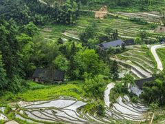 -紫鹊界梯田景区