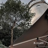 闻到了今年第一缕桂花香