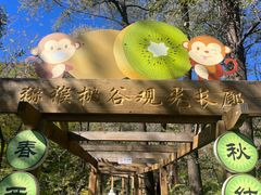 -大岭沟猕猴桃谷风景区