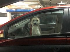 -刀马旦养生中心(时代店)