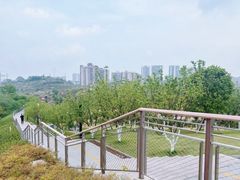 -重庆平顶山公园