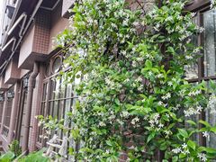 -欧洲房子(宜必思店)