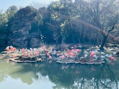 -宁波野生动物园