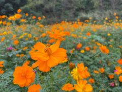 -西樵山国艺影视城