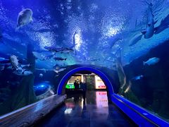 -成都浩海立方海洋公园