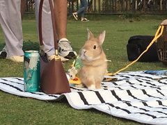 -栖露营camping·天幕烧烤·团建拓展·采摘营地