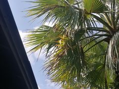 -广州从化都喜泰丽度假温泉酒店