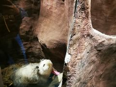 -陕西自然博物馆