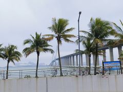 -中澳友谊花园