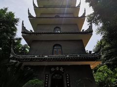 -生宇山珍野生菌汤锅•始于1999(双流古塔店)