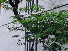 -绣园·茶食宴(湘绣博物馆店)