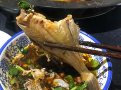 -费明中罗非鱼(大石坝店)