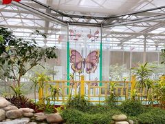 -南宫五洲植物乐园