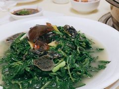 -凯盈阁·顺德私房菜·桑拿鸡