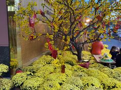 -芽庄中心购物广场