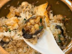 -红星光发煲仔饭(大石街店)