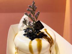 黑糖珍珠梳芙厘-狐狸和向日葵(北京路店)