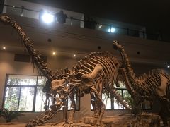 -自贡恐龙博物馆