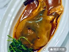 -新光酒家·河豚·海鲜·蟹料理(浦东店)