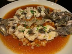 -甄御•海鲜新青岛菜(麦岛店)