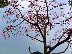 -水濂山森林公园