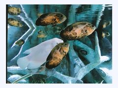 -福州罗源湾海洋世界旅游区