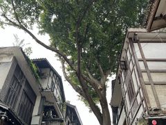 -磁器口古镇