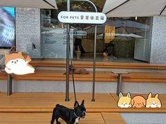 -喜茶(深圳喜荟城店)