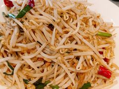 小炒笨豆芽-添福来墨鱼饺子 · 海鲜东北菜(大连星海·黄浦路店)