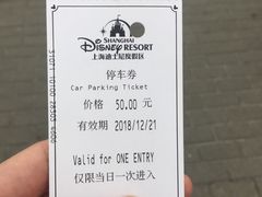 -迪士尼乐园停车场