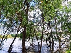 -长白岛森林公园