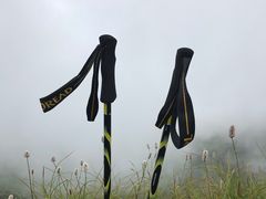 -秦岭风景区