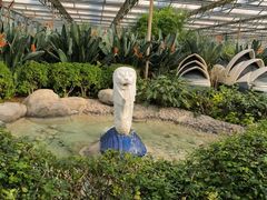 -南宫五洲植物乐园