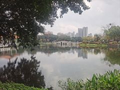 -荔湾湖公园