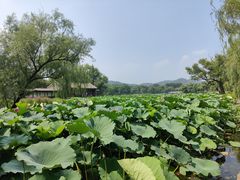 -承德避暑山庄景区
