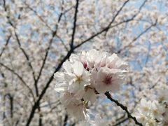-梦菲思饼屋(瑞金宾馆店)