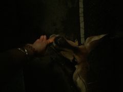iphone_upload_pic-清迈夜间动物园
